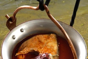 Vranie tradičných jedál z rýb -  zážitok z umenia chuti